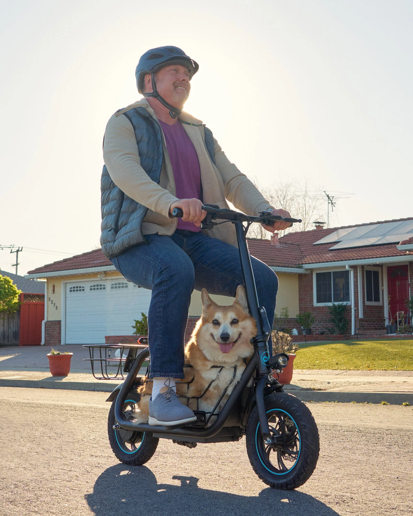 Gyroor 800W Electric Scooter with Large Basket for Pets & Cargo - Image 11