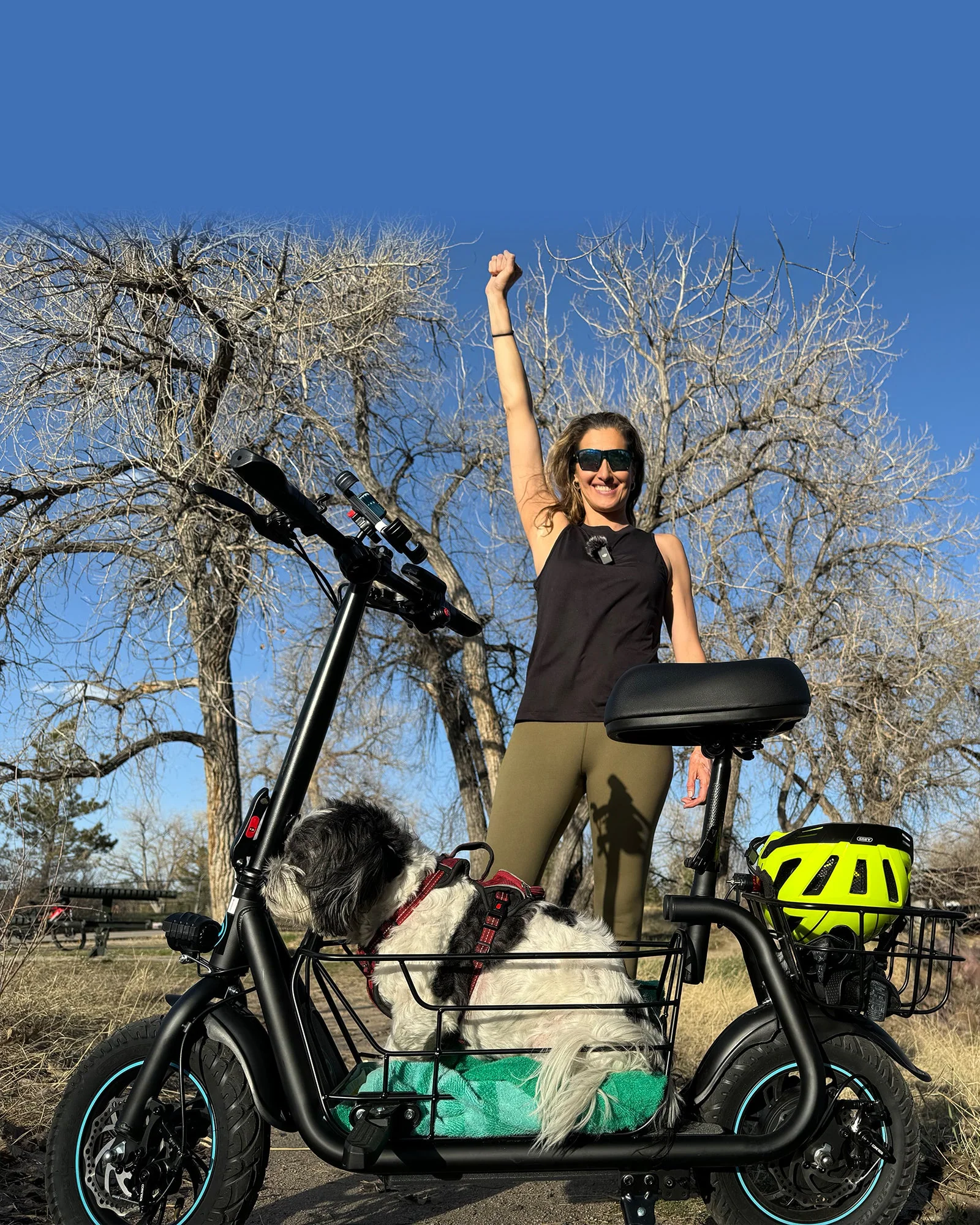 Gyroor 800W Electric Scooter with Large Basket for Pets & Cargo - Image 12