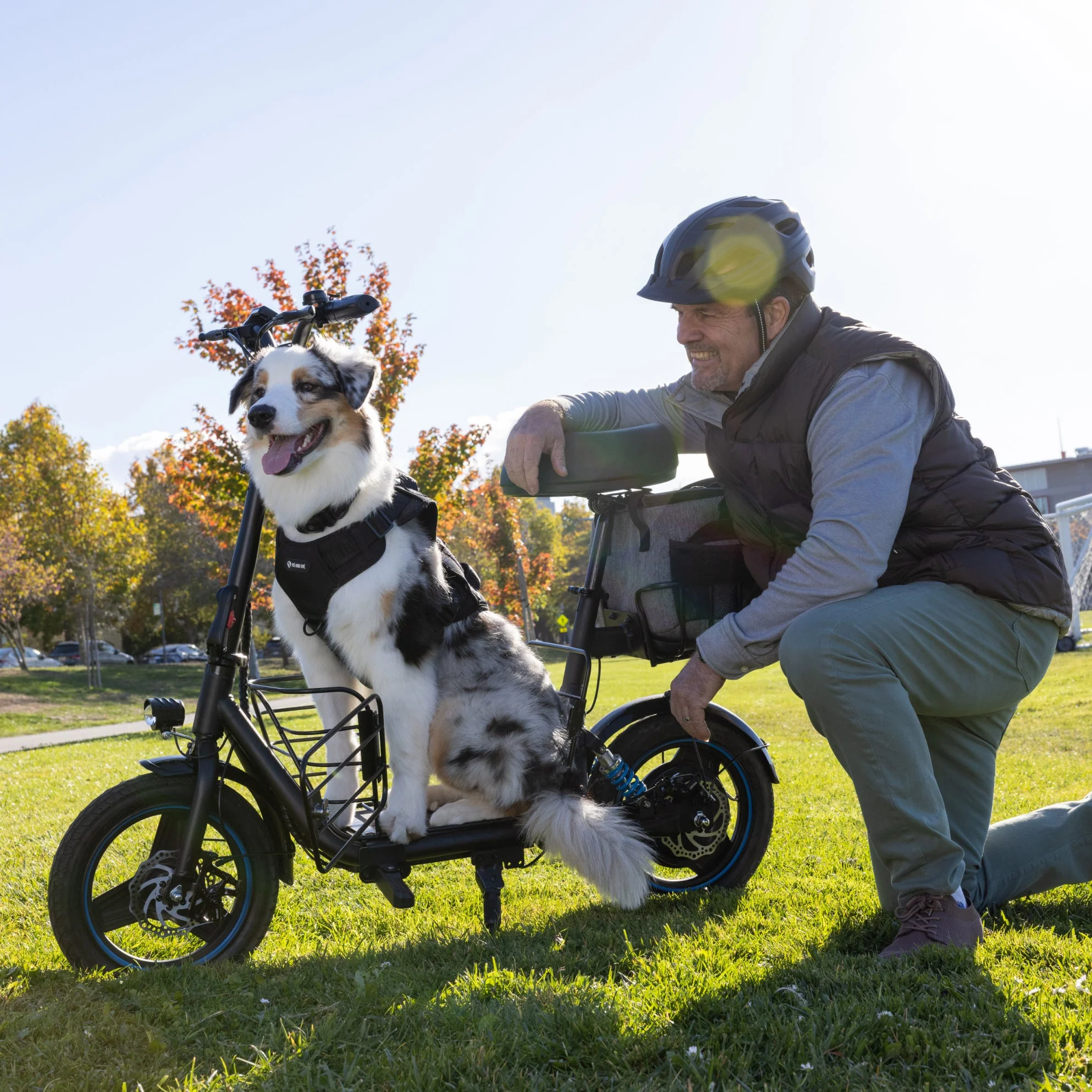 Gyroor C1Plus 1000W Electric Scooter with Dual Baskets for Pets & Cargo - Image 3