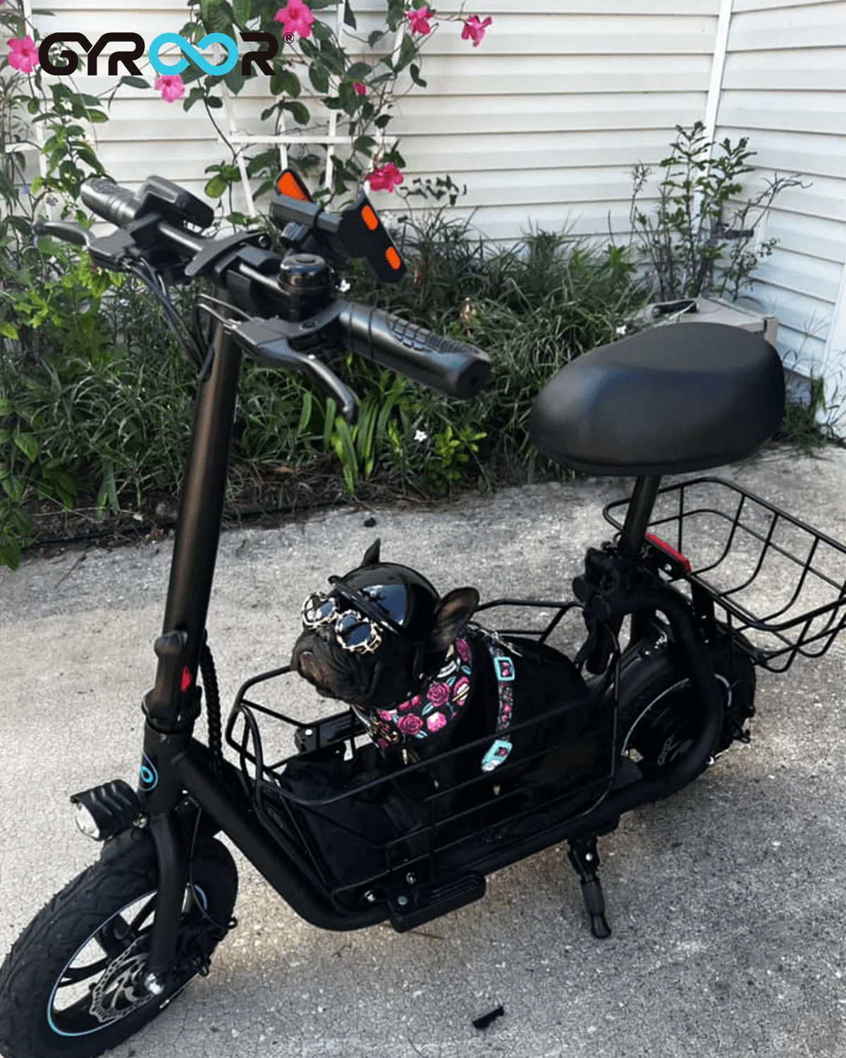 Safety Adjustable Dog Leash Designed Specifically for C1S Electric Scooter - Image 3