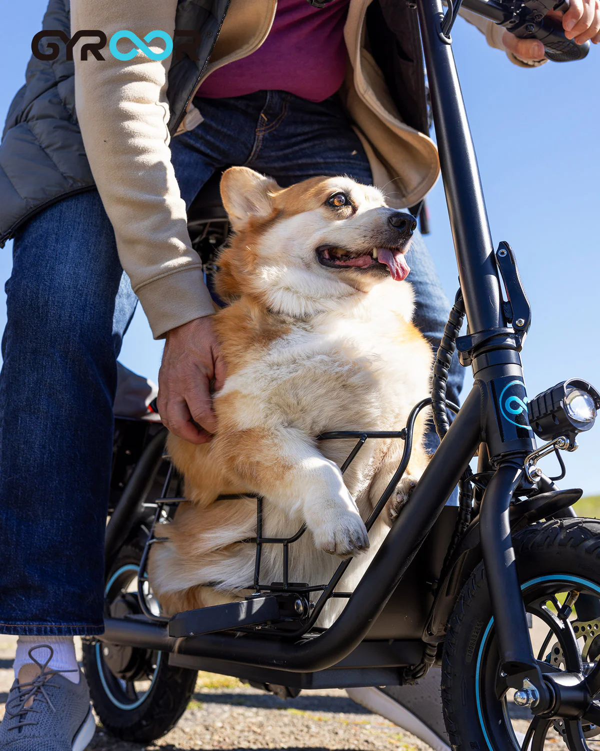 Safety Adjustable Dog Leash Designed Specifically for C1S Electric Scooter - Image 5